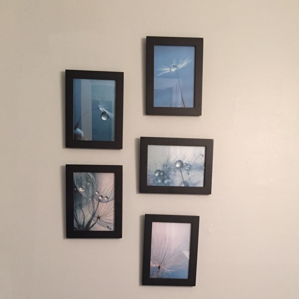 Set of Five dandelion pictures